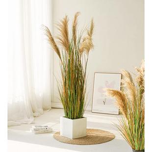 直播间树造景植仿真装饰假植盆栽客厅苇草落地物摆件芦绿室内干花