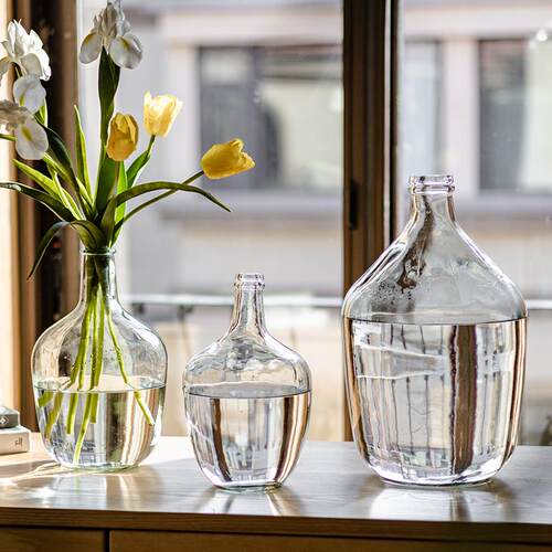 大肚子花瓶玻璃透明水养插花轻奢高级感马醉木吊钟水培花器摆件