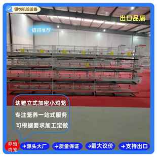 鸡舍使用小鸡笼支持出口三层四层育雏小鸡笼推荐 家用 养殖场