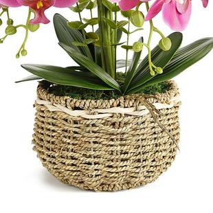 蝴蝶兰盆景假花客厅摆设装饰卧室内仿真绿植餐桌摆件大盆栽干花束