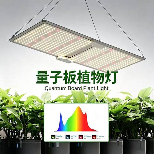 量子板植物补光灯100W 200W 300W仿太阳全光谱花卉led植物生长灯