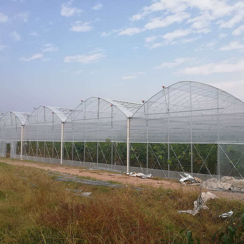 连栋温室大棚蔬菜水果花卉暖棚养植栽培钢架农业遮阳遮阴大棚安装