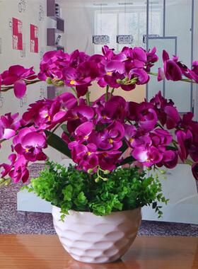 包邮蝴蝶兰花艺盆栽彷真干燥花套装饰假花绢花客厅餐桌摆设摆放花