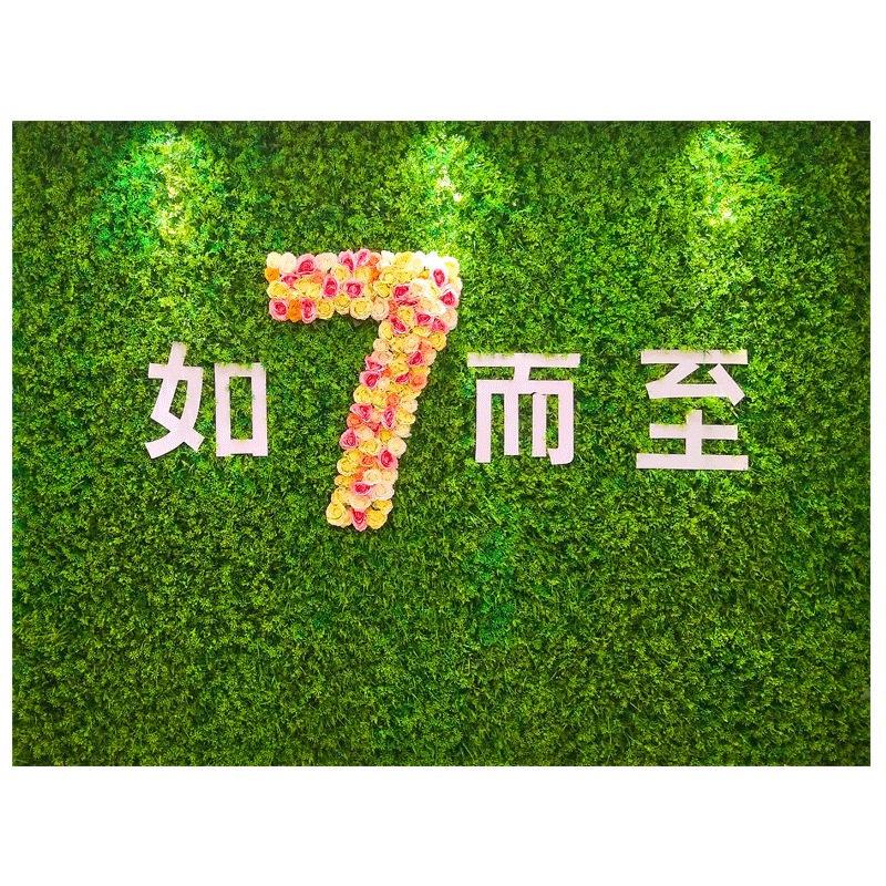 仿真植物墙绿植塑料假花草皮墙面装饰背景形象阳台绿色草坪上墙壁