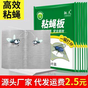 驰天10片装苍蝇贴粘捕蝇果蝇袋装家用捕捉散装粘蝇板厂家