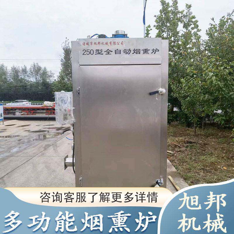 红肠烤肠蒸煮烟熏设备 商用烧鸡腊肉烟熏炉 全自动腊肠风干熏烤炉