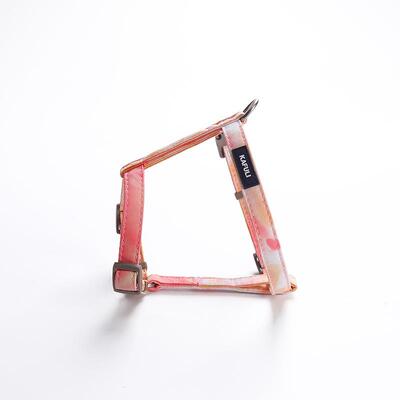 宠物用品跨境可调节猫咪渐变色牵引绳套装小型工字胸背带防挣脱