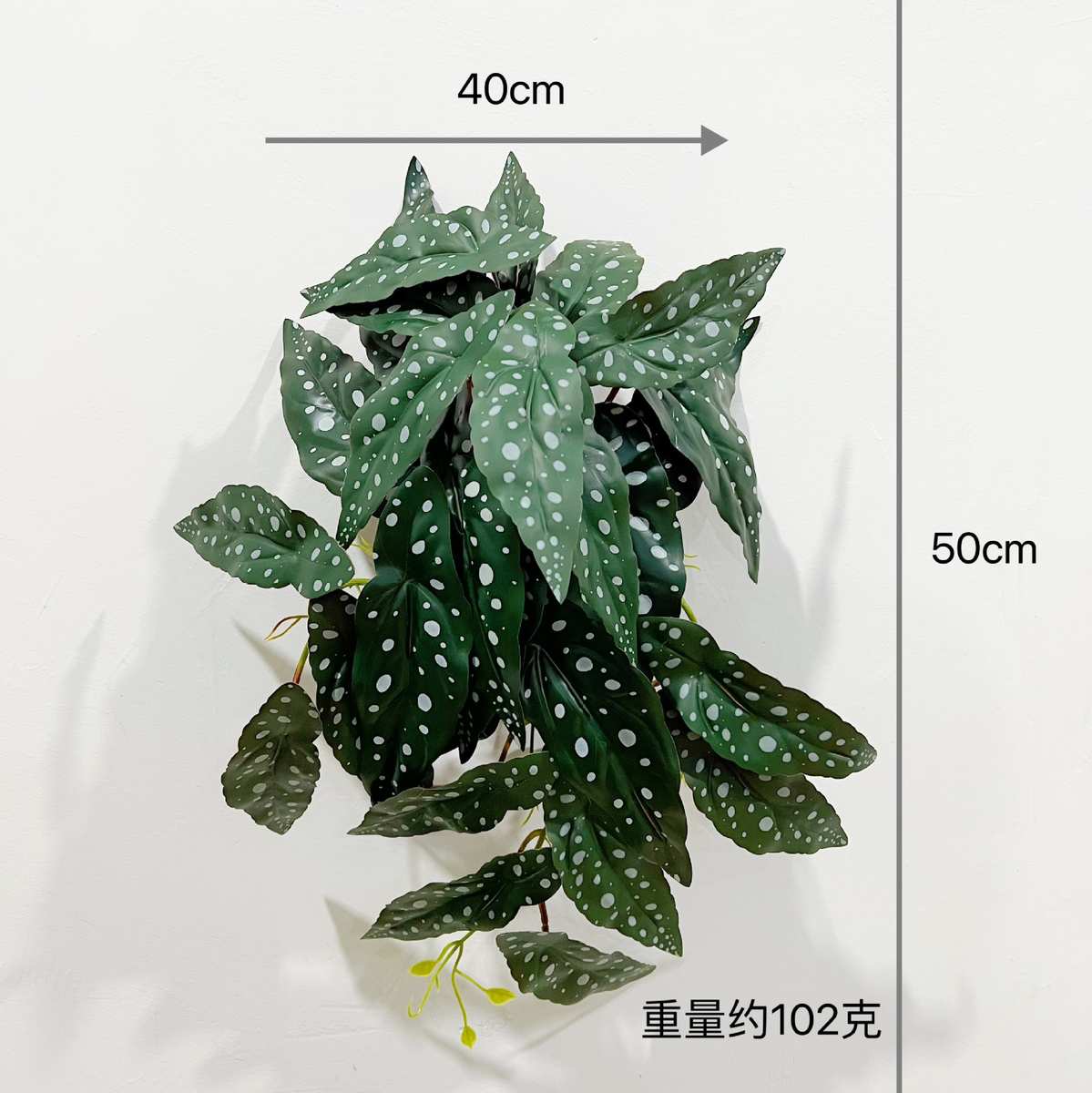 含阳高仿真中号洞洞叶挂藤蔓秋海棠叶花草造景仿生蕨类绿植墙装饰