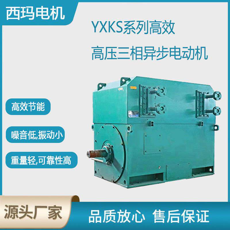 西安西玛电机YXKS4004-4极630KW6KV高压鼠笼型交流三相异步电动机