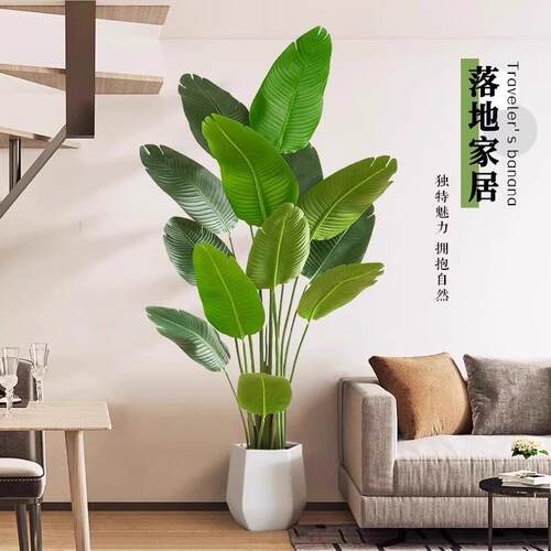旅人蕉仿真绿植天堂鸟盆栽装饰室内假植物大型仿生绿植客厅摆件
