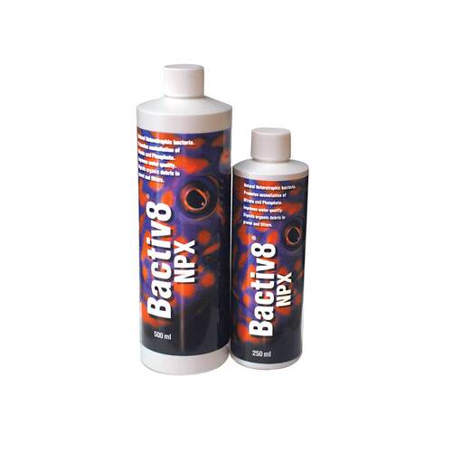 海水缸菌种 Bactiv8 NPX 250ml 两只小鱼硝化细菌 消化菌
