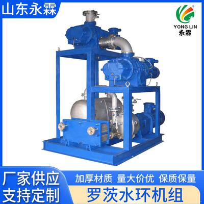 2BV罗茨水环真空机组JZJ2系列罗茨机组防爆水环真空机组
