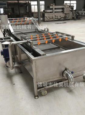 洋葱气泡清洗机梅菜清洗机水果蔬菜清洗机直供果蔬清洗设备