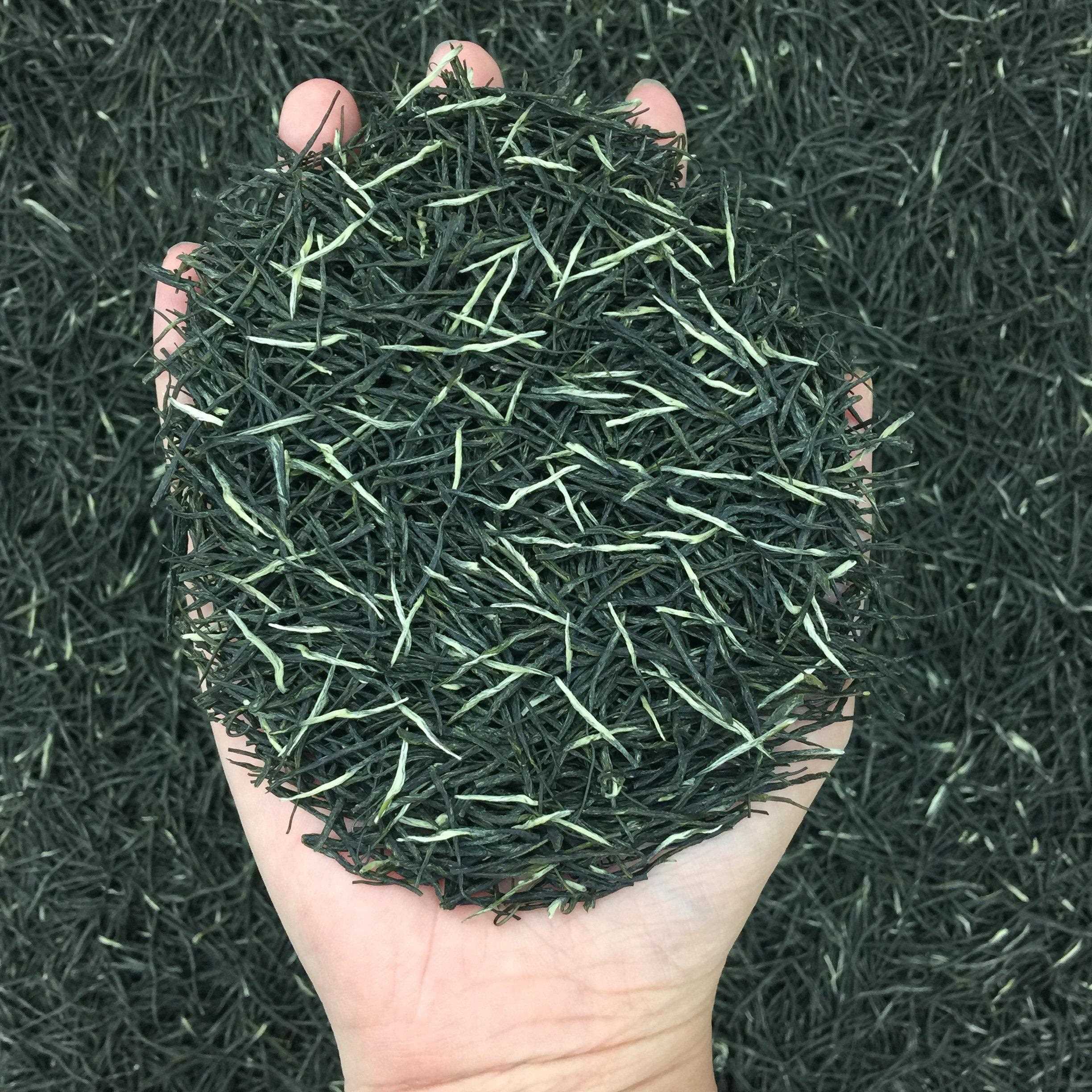 正宗信阳原产毛尖2025新茶特级绿茶雨前春茶嫩芽毛尖散装茶叶