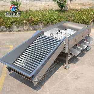 水果分138选场 果专用滚杠选果机 自柑动橘选檬果机 柠筛选分级机