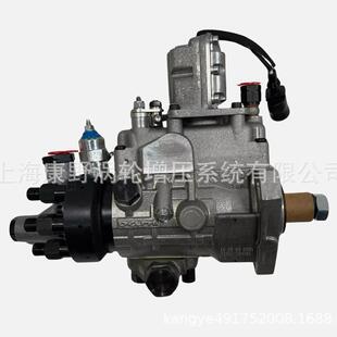 原装 0011 喷油泵8924A211W8924A210WRE505586和RE569911HP6