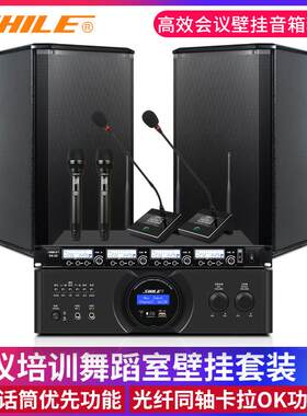 会议培训室音响套装狮乐BX108背景音乐8英寸壁挂音箱OK555B功放