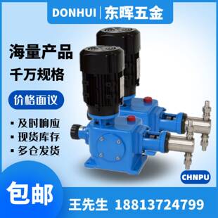 总代中朴CHNPU加药泵ZZX 190 220L柱塞计量泵 130