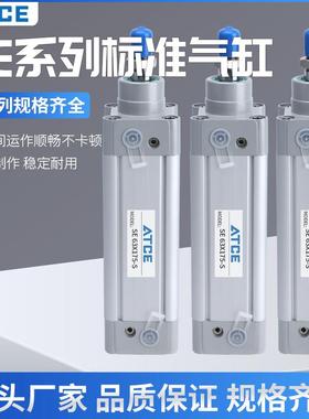 DNC标准气缸SE32/40/50/63/80/100-50*75X100/125/175/200PPV-A-S