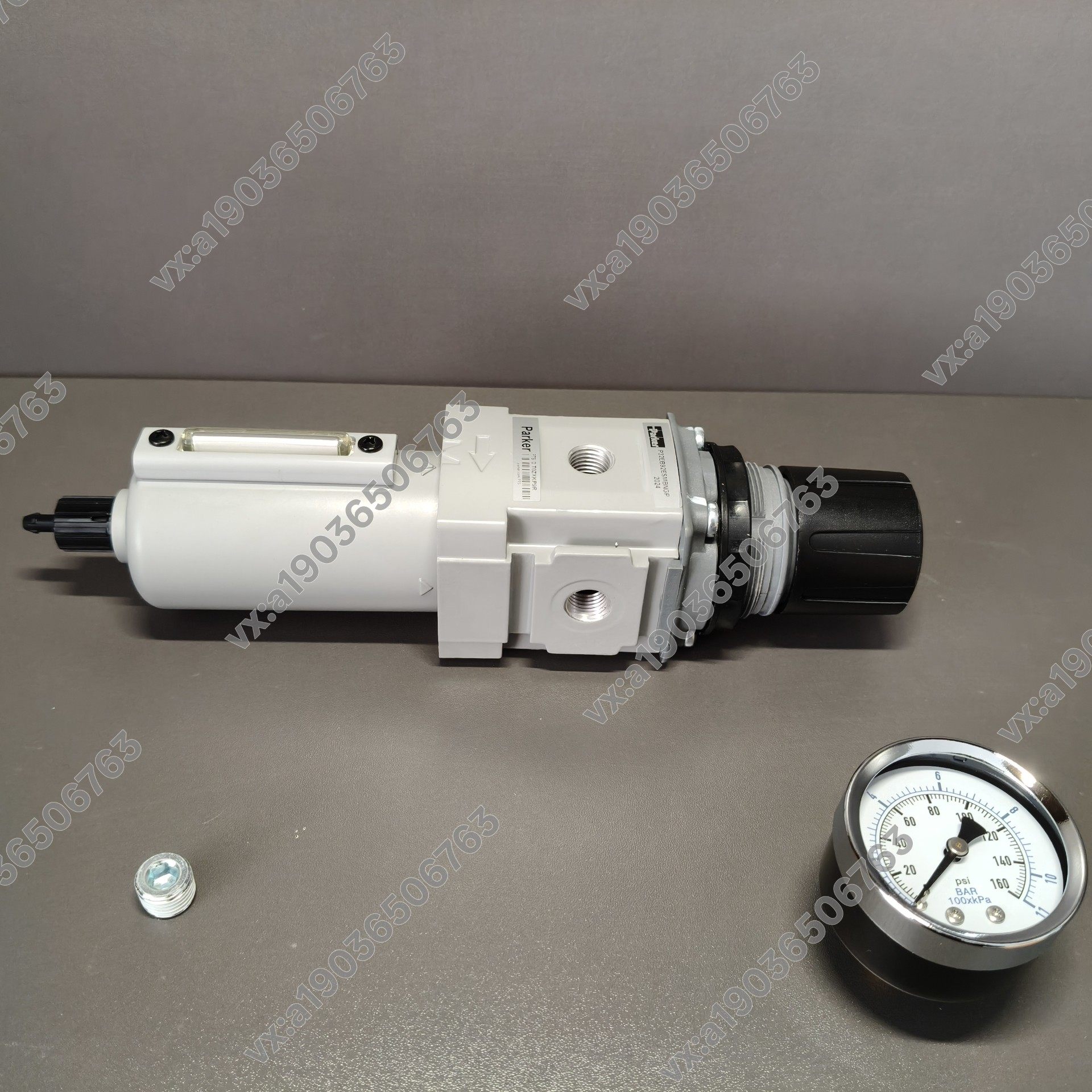 赛默飞 无热除水器滤芯 带压力表