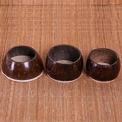 胡瓢秦腔板胡LZB瓢中板板胡板瓢音高音胡瓢