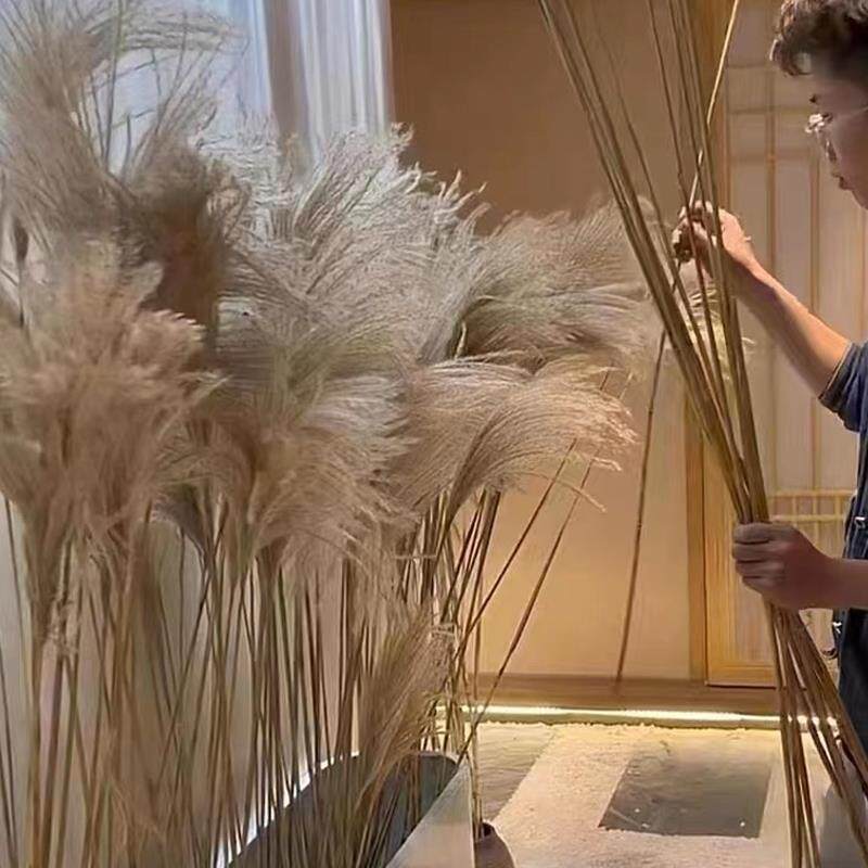 芦苇干花花束北欧装饰客厅落地摆件婚礼布置摄影拍摄道具粉色芦苇