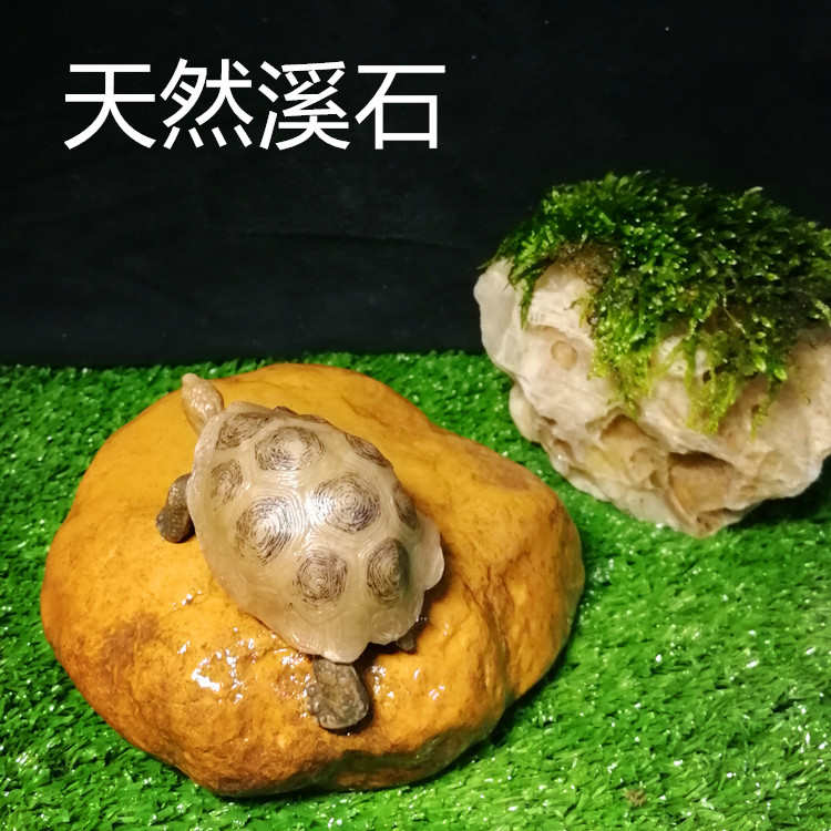 天然黄蜡石乌龟晒台 黄缘发色石 龟缸沉底爬山石头招财金钱龟用具
