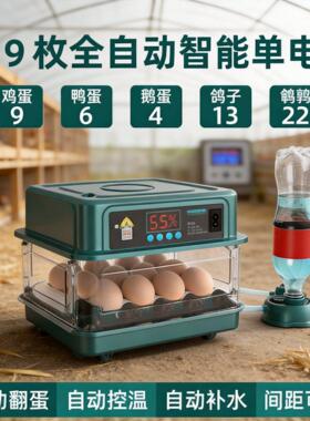 全自动孵化机鸭鹅孵化器智能小型家用鸡苗孵化箱鸽子鹦鹉孵蛋器