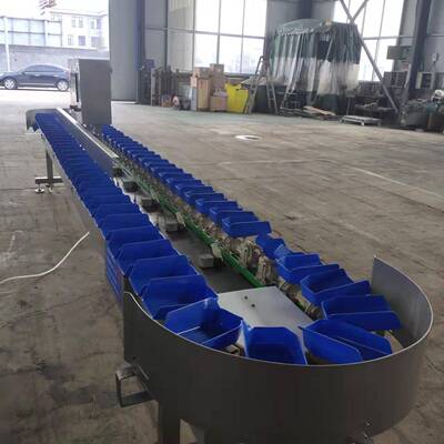 水产品多级防水分拣机海参个头大小重量自动称重分选级机