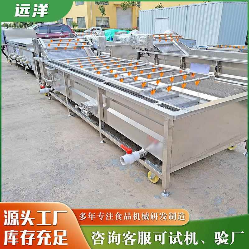 蘑菇菌类清洗机不锈钢气泡清洗机喷淋式鼓泡清洗设备商用洗菜机