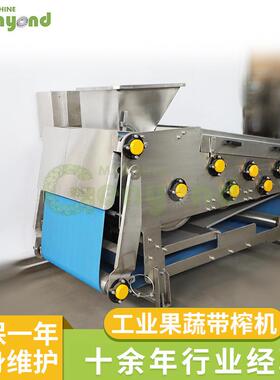 厂家直供工业果蔬带榨机中药浆仁果全自动商用304果蔬榨汁机