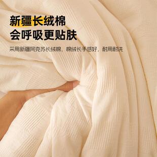 8子5%A类超软全棉被JCE提花大保豆纤维被芯冬季 加厚暖被夏春秋被