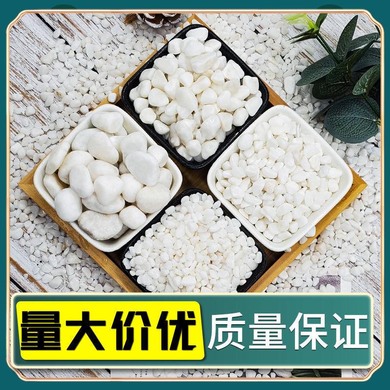 石子多鹅卵石雨花石小白栽培基质