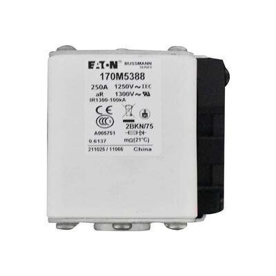 170M5388170M5389170M5390170M5391170M5392170M5393熔断器现货