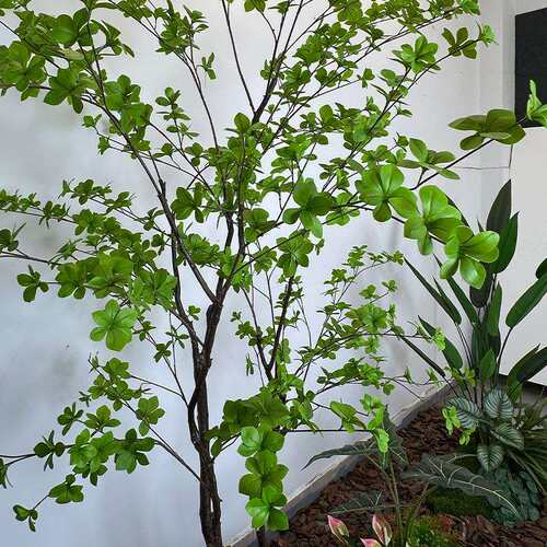 跨境仿真绿植吊钟树 人造盆栽大型吊钟盆景落地假植物吊钟树