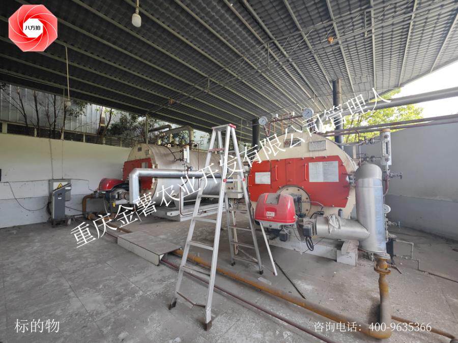 12月23日重庆某公司名下燃油（气）蒸汽锅炉设备2台网络拍卖公告