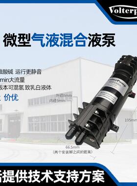微型水泵液泵VDP330DL强自吸双头直流水泵低噪音大流量高压混氢泵
