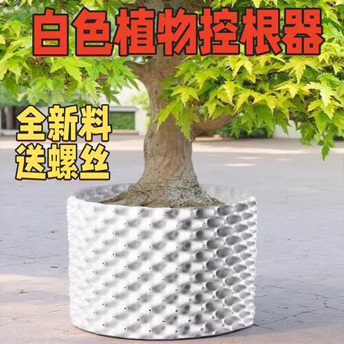白色全新料植物控根器蓝莓种植盆树木移栽园林果树围树板排水板