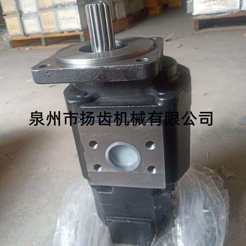 装载机铲车配件 临工LG968F液压齿轮泵 双联转向泵 工作泵 液压泵