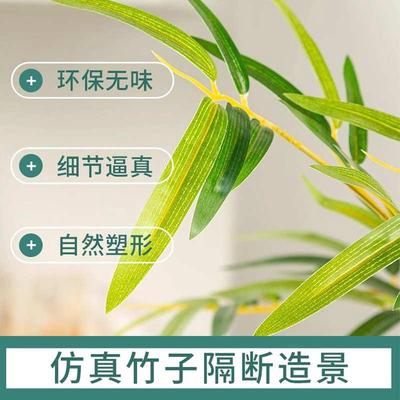 仿真竹子室外装饰造景围栏仿生绿植庭院隔断摆件酒店室内加密屏风