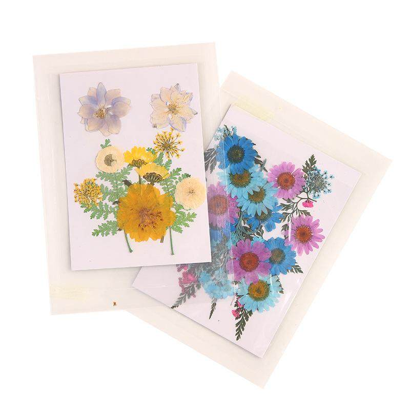 树叶粘贴画枫叶幼儿园标本手工diy梧桐叶银杏叶压花植物书签叶子,家居饰品,餐桌花艺,淘宝优惠券,粉丝福利购,淘宝优惠卷