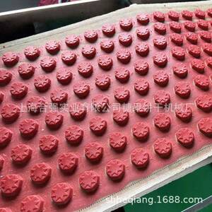 上海合强 400型果干饼干生产线 酥性饼干成型机 全自动酥性生产线
