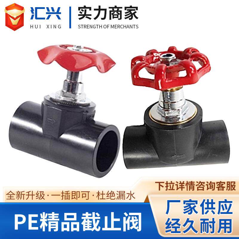开关加厚阀门管材配件截止芯阀芯分25管管截止阀闸阀芯全水