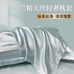 天丝夏季 高支冰丝凉整套48x74cm轻奢 枕套双面真丝一对装
