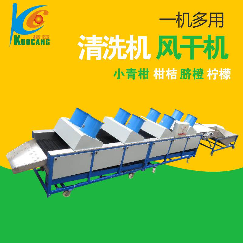 小青桔清洗风干机水果清洗分级机分选机