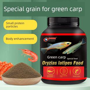 青鳉鱼饲料观背青鳉小型鱼弓背专用青将鱼观赏鱼小金鱼鱼食小颗粒