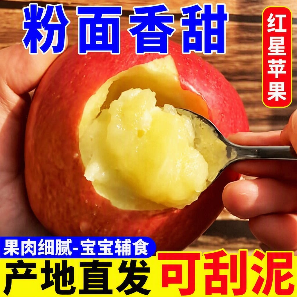 山西运城红星粉面苹果粉面香甜