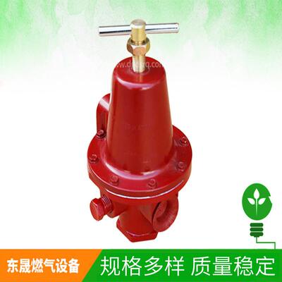 REGO减压阀1584VN（原装正品）