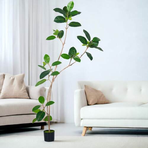 厅盆栽仿真绿室内装饰植物奢橡皮树孟客加摆拉榕落植地件孟加拉榕