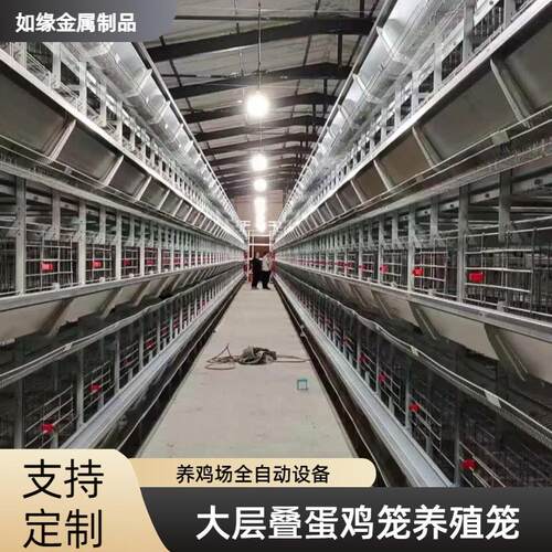 大层叠蛋鸡笼立体自动清粪喂料蛋鸡养殖笼具养鸡场用鸡笼